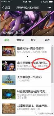 第五爆料最新视频,神秘事件背后真相揭晓